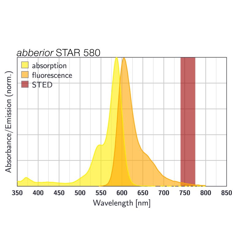 abberior STAR 580, goat anti-rabbit IgG, 500 µg