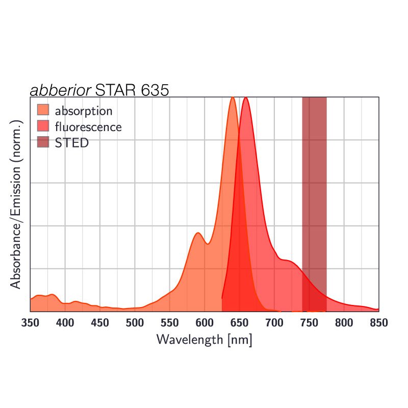 abberior-star-635-phalloidin-20-lg.jpg