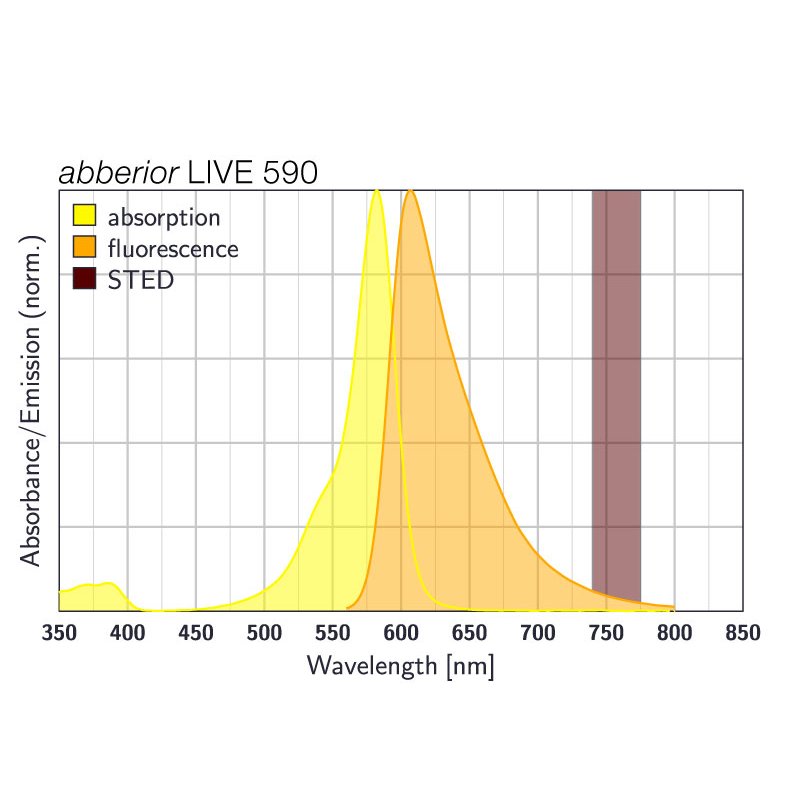 abberior-live-590-dna-50-lg.jpg