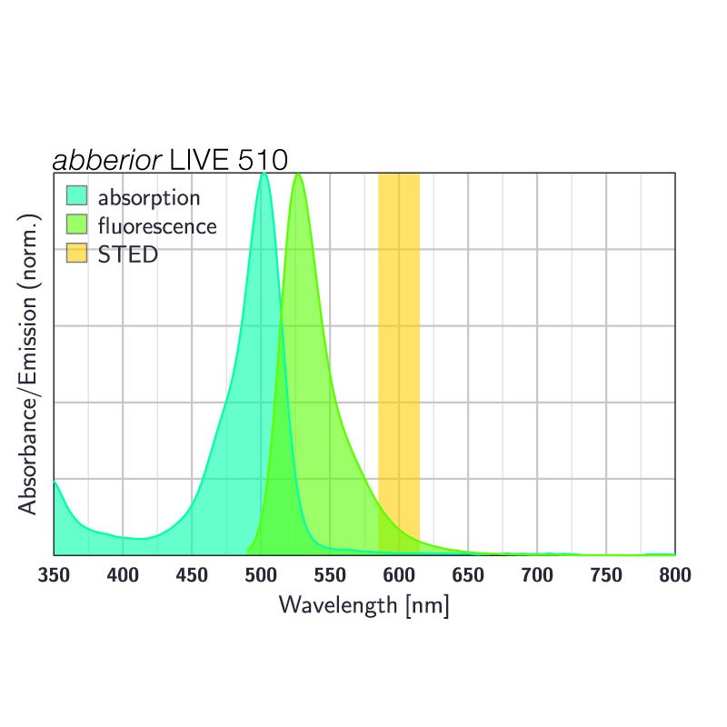 abberior LIVE 510, tubulin, 50 µg