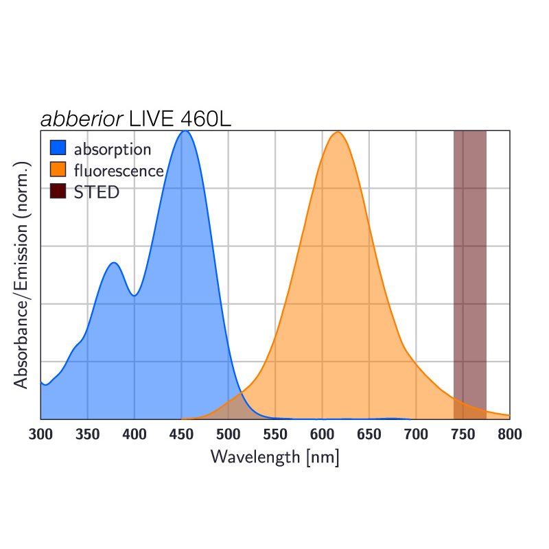 abberior LIVE 460L, actin, 50 µg