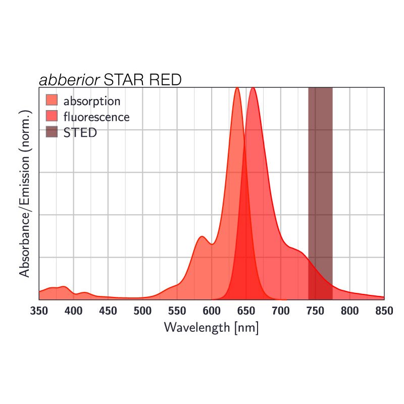 abberior-star-red-phalloidin-20-lg.jpg